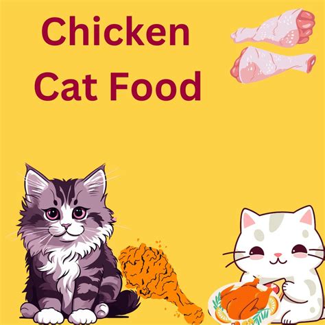 Chicken Cat Food: The Perfect Choice for a Healthy Feline Diet - Owgal