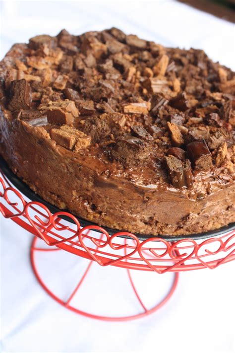 Tim Tam Cheesecake | Tim tam cheesecake, Indulgent food, Desserts