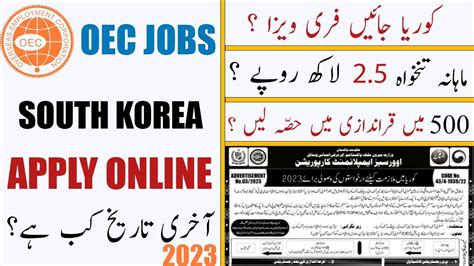 Oec Korea Jobs 2024 Application Form - Elaine Courtnay