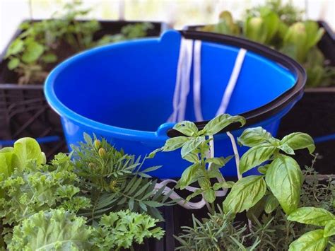 DIY Wick Watering System - Gardening4Joy | Self watering plants, Garden ...