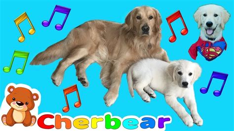 DOG SONG New KIDS SONGS Sing Along Fun with Our Super Dog and Our Super Girl Puppy - YouTube