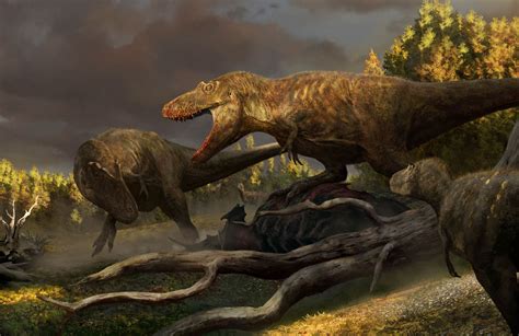 Daspletosaurus Vs Gorgosaurus