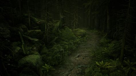 Free photo: Deep Woods - Cypress, Florida, Forest - Free Download - Jooinn