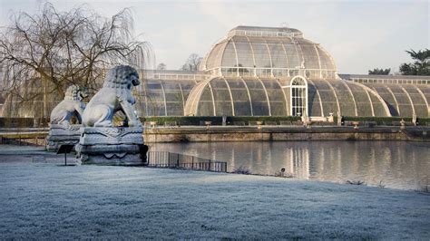 The Palm House in winter | Kew, Kew gardens, Botanical gardens