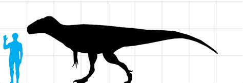 Megalosaurus | Ancient Animals Wiki | Fandom