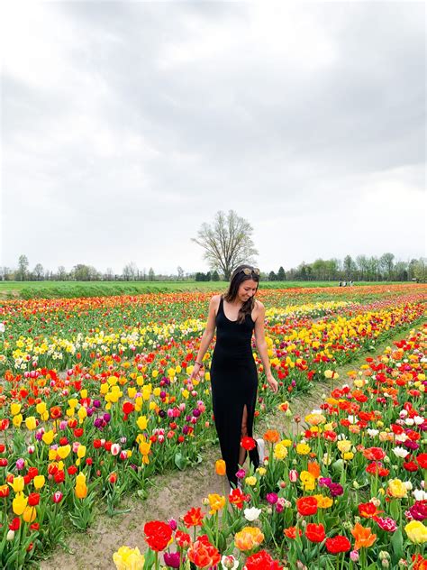 Tulip Time in Holland, MI - Party of Alyssa Matt