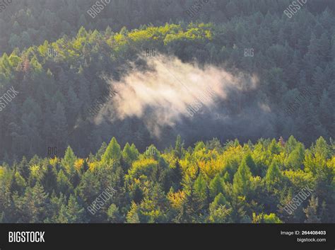 Green Mountain Forest Image & Photo (Free Trial) | Bigstock