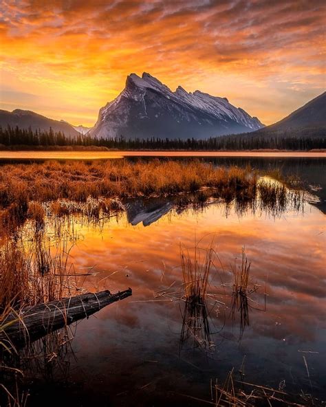 *🇨🇦 Vermilion Lakes sunrise (Banff National Park, Alberta) by Dan ...