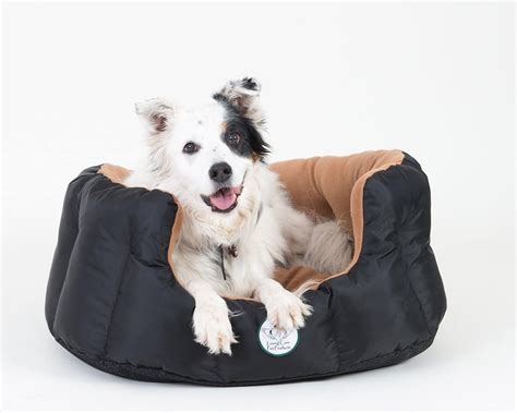 Best Heated Dog Beds (January 2021 Review) | Dogsrecommend