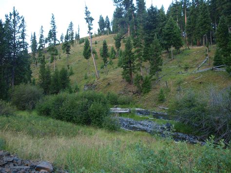 Wallowa-Whitman National Forest Sunrise - Pacific Northwest Photoblog