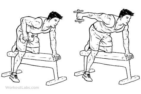 Tricep Dumbbell Kickbacks | WorkoutLabs