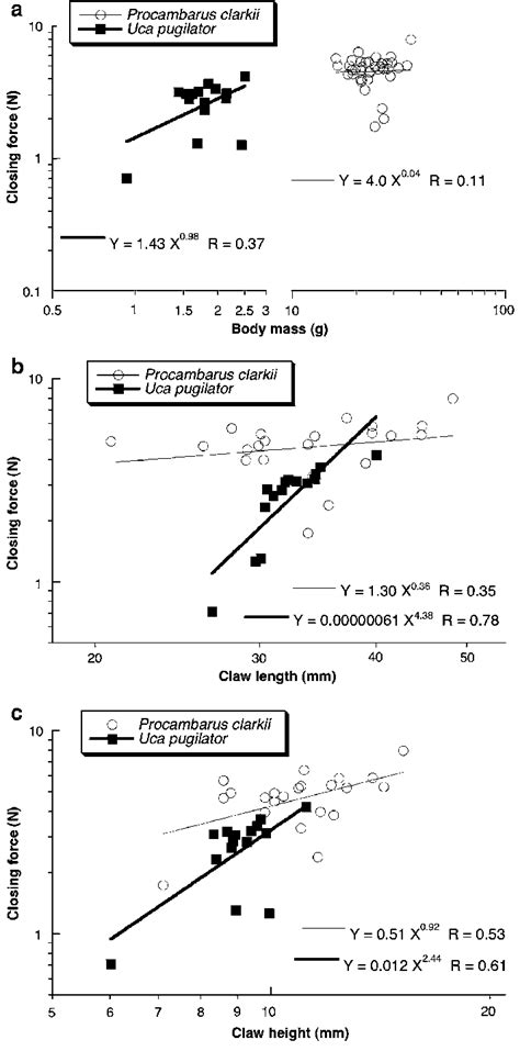The relationship of pinching (closing) forces of chelae to the body... | Download Scientific Diagram