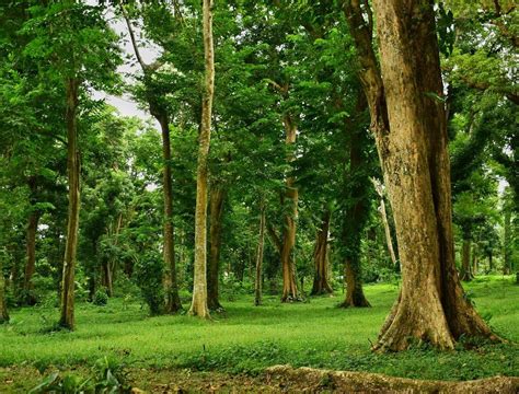 Makiling Botanic Gardens (Los Banos) - 2022 Alles wat u moet weten ...