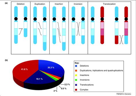 Genome organization influences partner selection for chromosomal rearrangements: Trends in Genetics