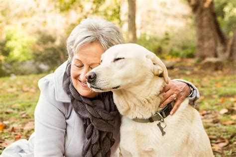 The 21 Best Dogs for Seniors: How To Find the Perfect Fur Friends ...