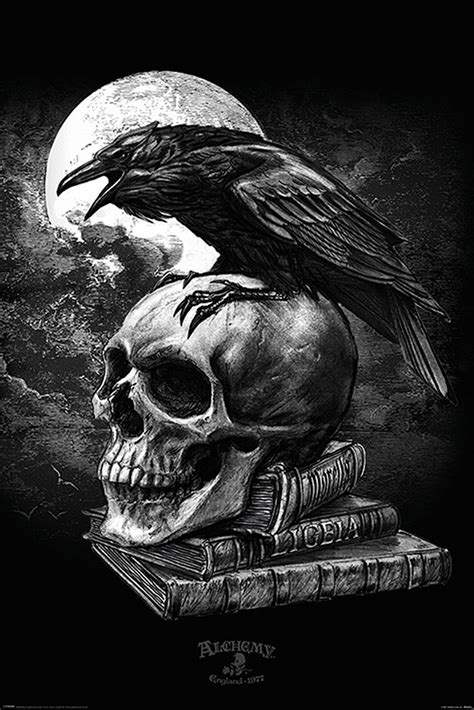 Alchemy Poster Poe's Raven | Alchemy gothic art, Dark art, Gothic art