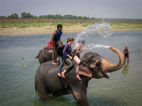 Why Riding Elephants at Chitwan National Park Makes Conservation Sense