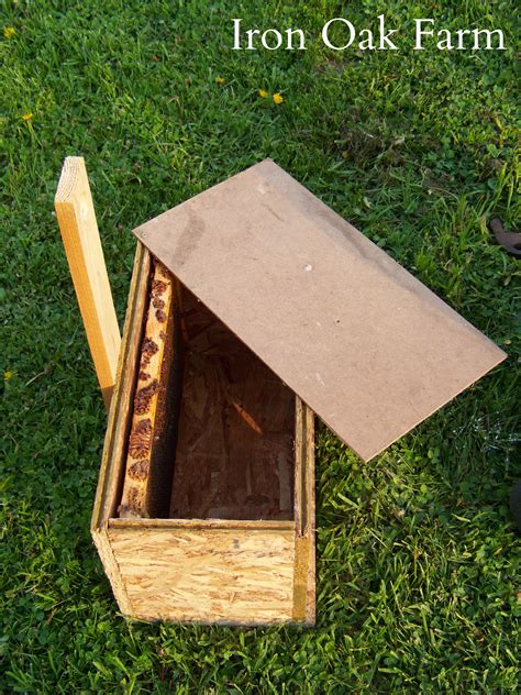 How To Build a Swarm Box Keeping Backyard Bees