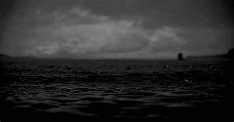 Shark Attack Ocean Storm GIF - Find & Share on GIPHY