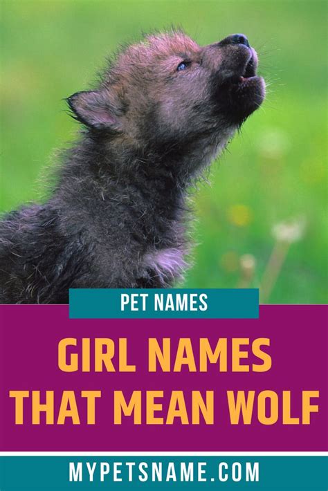 Pin on Female Pet Names