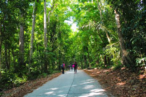 Wandering Den: Mt. Makiling