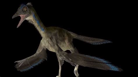 Archaeopteryx | Walking With Wikis | FANDOM powered by Wikia