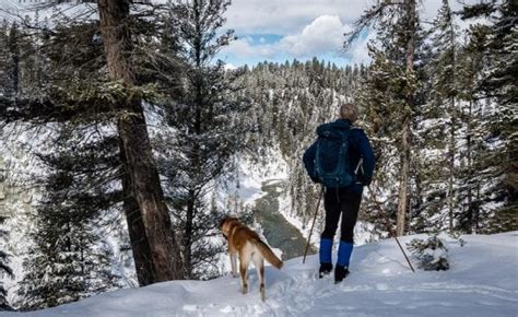 What to Do in Kootenay National Park in Winter - Hike Bike Travel