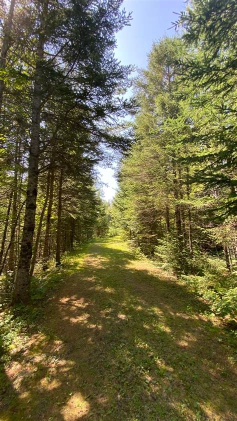 Aroostook National Wildlife Refuge - Visitor Center - Maine Trail Finder