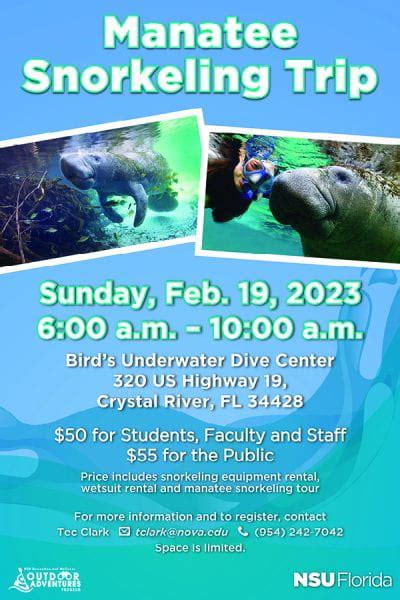 Manatee Snorkeling Trip (Feb 19) – NSU SharkFINS