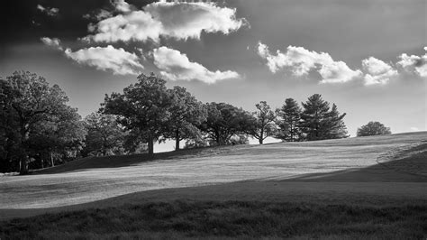 Black And White Trees Plain Grass Field Landscape Clouds Sky Background ...