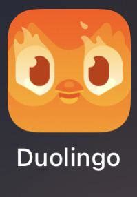 Duo gives you this app icon after you get a 250 day streak! : r/duolingo