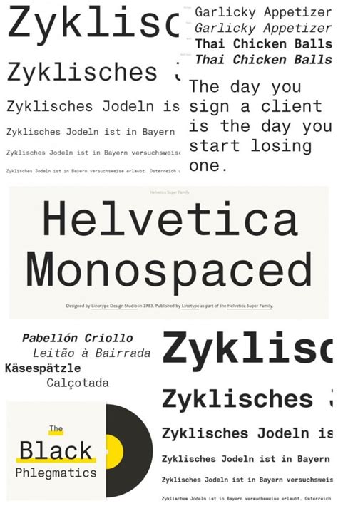 15+ Best Monospace Fonts for 2021: Free and Premium Fonts