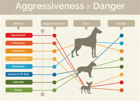 Most Aggressive Dogs By Breeds - Pet Care Stores