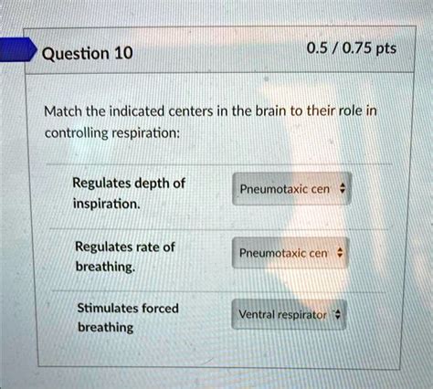 SOLVED: Text: 0.50.75pts Question 10 Match the indicated centers in the brain to their role in ...