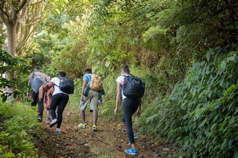 Blue Mountain Hike and Coffee Tour from Ocho Rios - Ocho Rios | Project Expedition