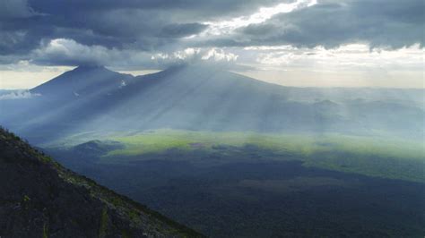 Virunga • New Zealand International Film Festival