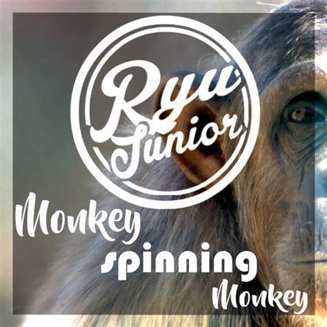 pumpyoursound.com | Monkey Spinning Monkey Remix (FREE DOWNLOAD)