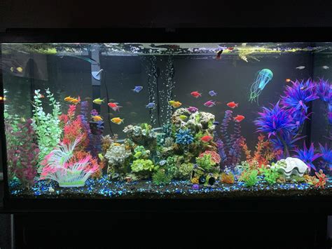 Glo-fish setup : r/Aquariums