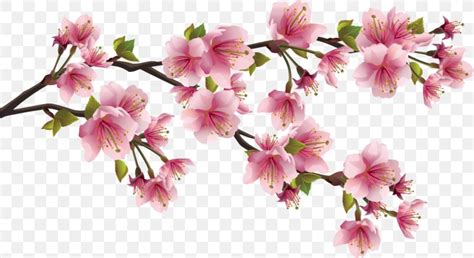 Paper Cherry Blossom Clip Art, PNG, 1280x700px, Paper, Blossom, Branch ...