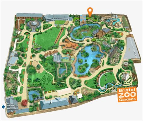 Bristol Zoo Gardens Map Transparent PNG - 1000x801 - Free Download on NicePNG