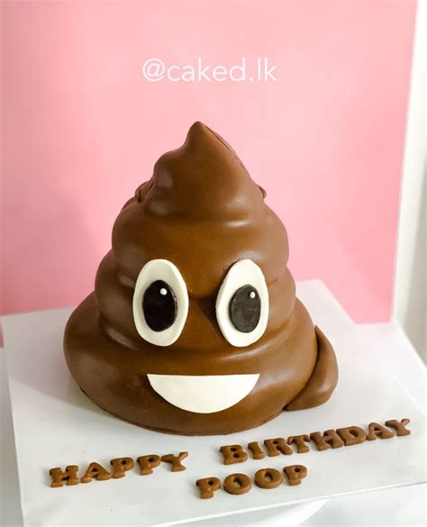 Poop emoji cake in 2024 | Emoji cake, Cake, Funny cake