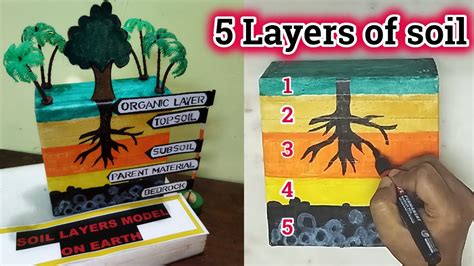 Soil Layer Model on Earth || Soil Profile Model School Project Making ...