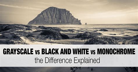 Grayscale vs Black and White vs Monochrome: the Difference Explained ...