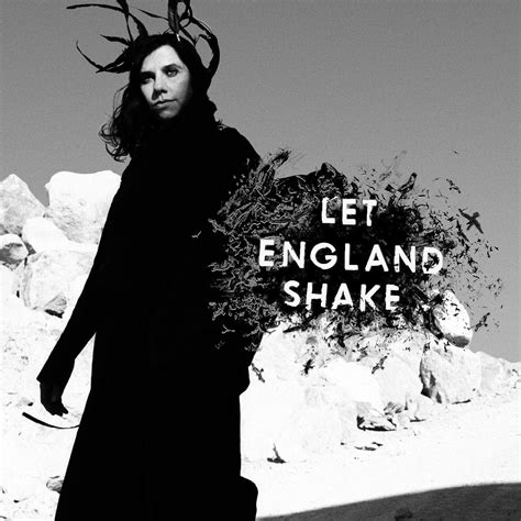 Hold Back Control - Fake Graphic Design: PJ Harvey - Let England Shake