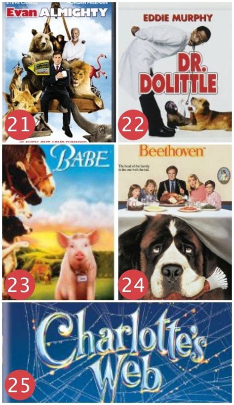 Comedy Movies To Watch With Family Not Animated - Allawn