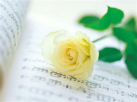 Romantic Roses - Roses Wallpaper (13966451) - Fanpop