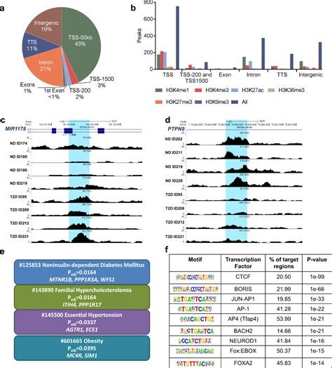 APExBIO - ATAC-seq