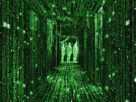 Matrix Digital Rain Binary Code Matrix Hacking Hd Wal - vrogue.co