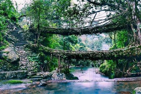 Mawlynnong, Meghalaya | Asia's Cleanest Village - Holidify