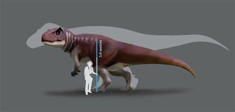 Breaking News: A theropod about the size or larger then T-rex has been found (footprint fossils ...